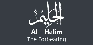 QA95vDb 99 Names of ALLAH