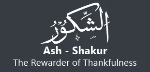 ecGK3TK 99 Names of ALLAH